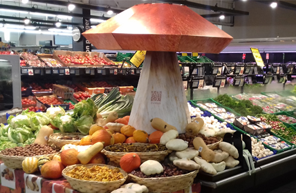 Photo d'un étal de produits de plein champ, surmonté d'un grand champignon