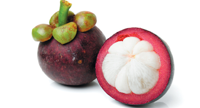 Fournisseur alimentaire en fruits exotiques, mangoustan 