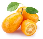 Fournisseur alimentaire professionnel de kumquat, produit exotique