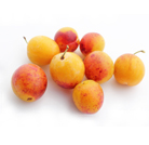 operations_fruits_a_noyaux_mirabelles_grosssiste_alimentaire