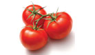 operations_legumes_ratatouille_tomates