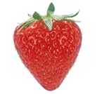 Operations_fruits_rouges_fraise_clery