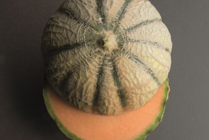 Distributeur alimentaire de melons et pastèques