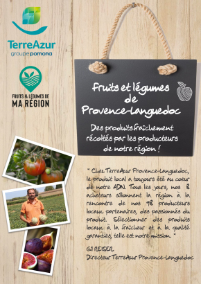 Fiche région Fruits et Légumes de Provence Languedoc