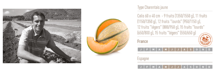 Melons type charentais jaune, issus d’exploitations certifiées Haute Valeur Environnementale en France