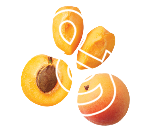 Abricot-B&amp;E-esperluettes-blanche