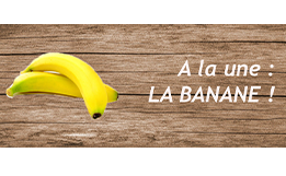 a la une : la banane