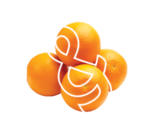 orange-B&amp;E-avec-esperluette-blanche_0