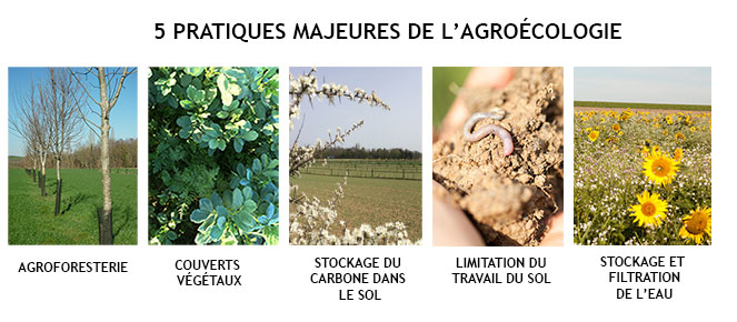 5-pratiques-agroécologiques