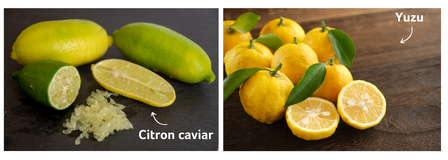 Citron caviar_yuzu copie