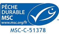 logo_MSC_WEB
