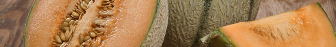 Fournisseur restauration de melons et pastèques 