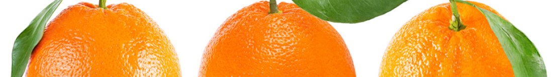 Distributeur grossiste d'oranges