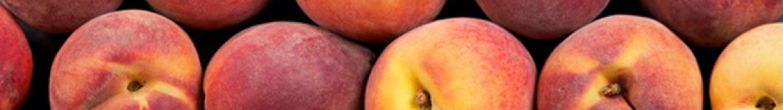 img_head_peches_etnectarines_fournisseur_grossiste_alimentaire