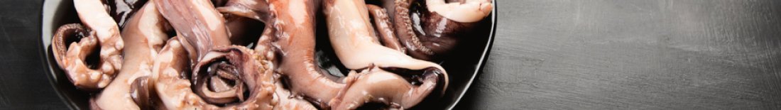 cephalopodes_grossiste_alimentaire_professionnel
