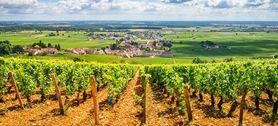 Direction régionale Bourgogne Franche Comté
