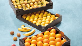 img_suggestions_fruits_comptes