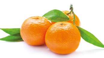 img_suggestions_clementines