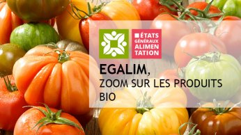 Bandeau-EGalim-bio-tomates