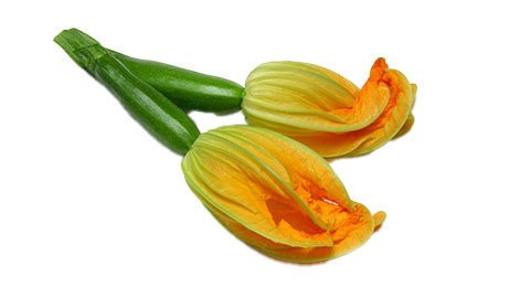 Fleur de courgette femelle plateau 30 pièces origine France Fruits et Légumes de ma Région | Grossiste alimentaire | TerreAzur
