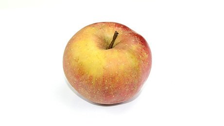 Pomme Reinette grise du Canada calibre 190/220 catégorie 1 origine France CE2 100% Experts Terroirs | Grossiste alimentaire | TerreAzur