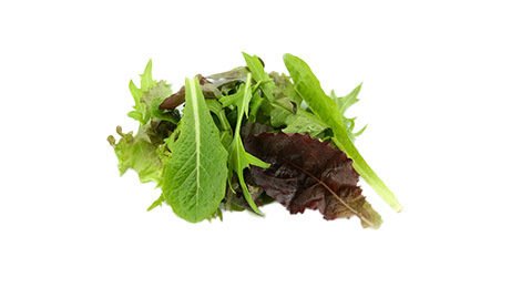 Salade jeunes pousses mélange provençal barquette 500 g origine France 100 % Experts Terroirs | Grossiste alimentaire | TerreAzur