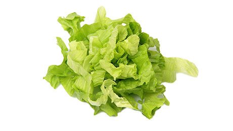 Salade Iceberg en lanière 500 g | Grossiste alimentaire | TerreAzur