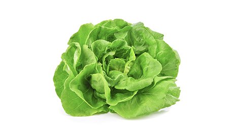Salade Laitue blonde catégorie 1 origine France CE2 100% Experts Terroirs | Grossiste alimentaire | TerreAzur