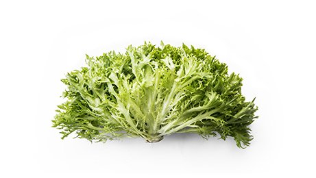 Salade Lollo blonde Feuillegal 2,4 kg catégorie 1 Origine France HVE Bon et Engagé | Grossiste alimentaire | TerreAzur