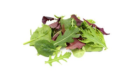 Salade jeunes pousses mesclun 1 kg | Grossiste alimentaire | TerreAzur