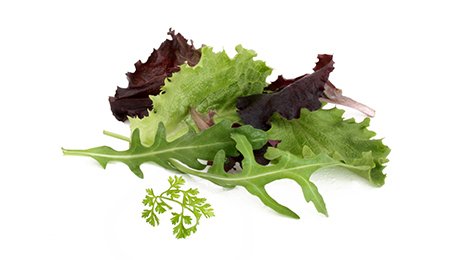 Salade feuille de Chêne mix couleurs catégorie 1 HVE origine France Fruits et Légumes de ma Région | Grossiste alimentaire | TerreAzur