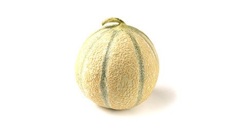 Melon charentais jaune calibre 1350/1750 g catégorie 1 Origine France HVE Benac | Grossiste alimentaire | TerreAzur