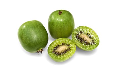 Baby kiwi barquette 125 g BIO origine France Fruits et Légumes de ma Région Nergi | Grossiste alimentaire | TerreAzur