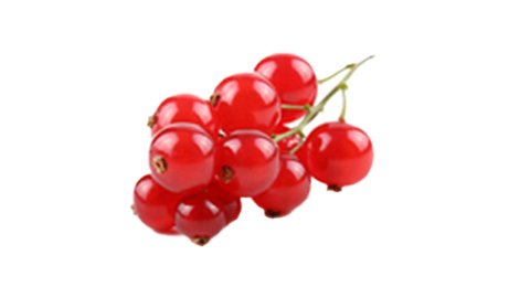Groseille rouge barquette 100 g catégorie 1 origine France Fruits et Légumes de ma Région | Grossiste alimentaire | TerreAzur