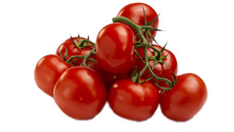 Tomate ronde grappe barquette 500 g catégorie 2 origine Espagne BIO | Grossiste alimentaire | TerreAzur
