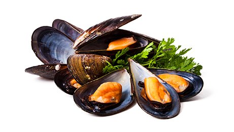 Grossiste alimentaire des professionnels de la restauration et de la distribution de poissons, légumes et fruits frais | TerreAzur