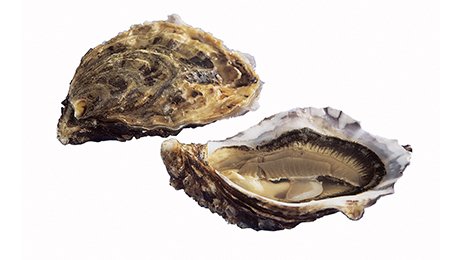 Huîtres creuse super spéciale n°2 élevé en France 100 % EXPERTS Marée Poget | Grossiste alimentaire | TerreAzur