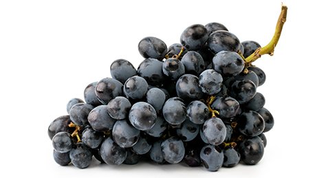 Raisin noir Belair ~4 kg catégorie 2 BIO origine France Fruits et Légumes de ma Région | Grossiste alimentaire | TerreAzur