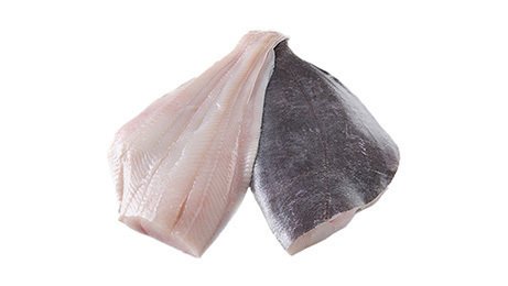 Filet de flétan noir sans peau colis de 3 kg Pavillon France | Grossiste alimentaire | TerreAzur