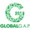 test global gap rvbed.png