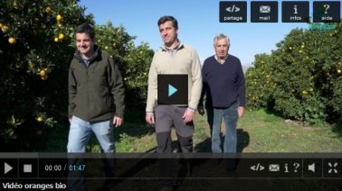 vidéo producteur d'oranges Bio en Espagne
